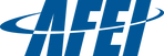 Association for Enterprise Information