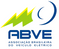 Brazilian Electric Vehicle Association