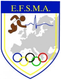 European Federation of Sports Medicine Associations