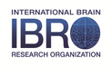 International Brain Research Organization
