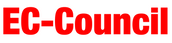 International Council of E-Commerce Consultants